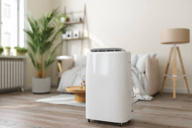 Best Heating repair services  in Ravenna, MI